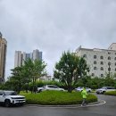 송일관