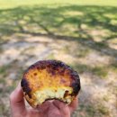 대전 관평동 전통있는 에그타르트 맛집 &#39;그린베이커리&#39; 후기