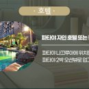 신세계여행사 이미지