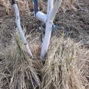 목골농장 이미지