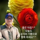 5월 24일 수요일 아침인사 이미지