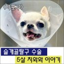 삼송사랑 동물의료센터 이미지