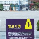 옐로카펫 이미지