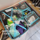 아메리칸 투어리스터 롤리오(ROLLIO) 28인치 캐리어 사용 후기(장단점)