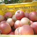 한옥농장 이미지