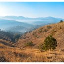 중장년 건강 관리 운동법 이미지