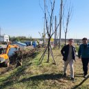 포항시 북구청 이미지