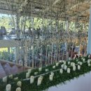 통영바다정원 이미지