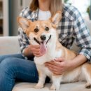 더좋은 동물병원 이미지