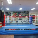 광주제일복싱클럽 이미지