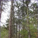 부적면사무소 이미지