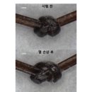 대한견적연구소