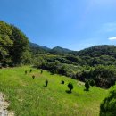 수지면 등동마을 이미지