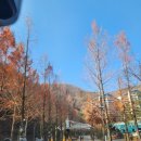 금수강산헬스 | 소노펠리체 실버스위트 이용후기:: 아기와 비발디파크 즐기기