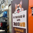 개순이 살롱 이미지