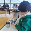 벽오동나주점 | 나주 남평 맛집 벽오동 보리밥집 (내돈내먹)