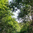 동백호수공원 이미지