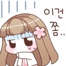 리틀비틀키즈카페강릉점 이미지