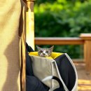 멍냥이 펫싸롱, 펫호텔 이미지