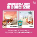 파티파티 이미지