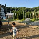 365번지 | [위례 핫플] 38개월 아이와 다녀온 ‘비욘더팜’ 체험 후기