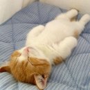 피트인 피트니스 이미지