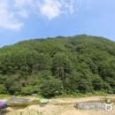 무릉도원면-45 이미지