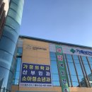 보건의원 | 임산부 '막달검사 및 백일해' 저렴하게 진행하는 방법_인천가족보건의원 방문 후기(+남편/직계가족 접종)