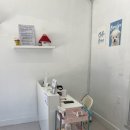 스텔라봉 이미지