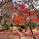 서울미치과 이미지