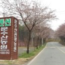 문수산 펜션 이미지