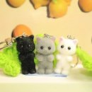 행운냥이 이미지