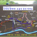 신갈마로-5 Daum카페