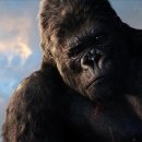 킹콩 이미지