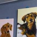 당당이 애견 | 유기견 입양후기~당당이를 소개합니다~