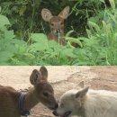 김재윤농장 이미지