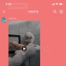 샤워하개 이미지