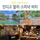 발리 스미냑 숙소 인디고 발리 호텔 수영장, 조식 후기