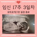 상전보건지소 | [24.12.04.] 임신일기 (61) :: 17w3d│산전육아휴직 신청│만삭촬영 예약│유산일기 업로드 완료...