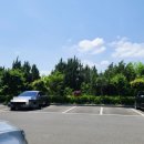 풀잎채보문점 이미지