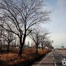 한국농어촌공사동진지사 | [전라북도 김제시] 명천식당