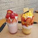 요거프레소 이미지