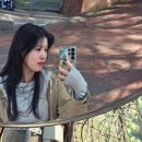 꼭두박물관(휴관) 이미지