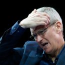 나는 댕댕 이미지