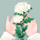 [부고]임윤서님 어머님께서 별세 하셨습니다. 이미지