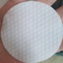 브라운랩 이미지