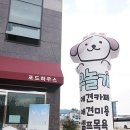 입어보개 이미지
