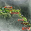 포레스트 이미지