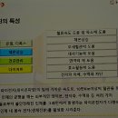 마마르홈