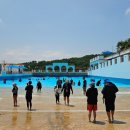 장미탕 | 아산스파비스 완벽 후기 – 파도풀·슬라이드·온천까지 한 번에 즐기는 온가족 워터파크